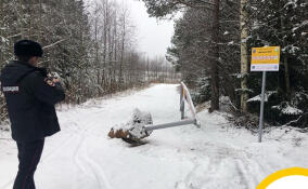 Вандалы сломали шлагбаум и таблички в заказнике «Ореховский»