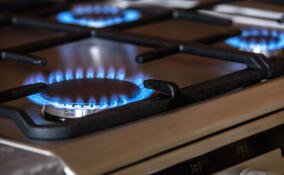 29 тысяч домов в Ленобласти газифицировали в рамках президентской программы