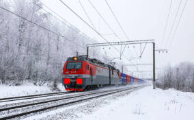 Железную дорогу в Ленобласти в этом году будут чистить от снега 16 спецмашин