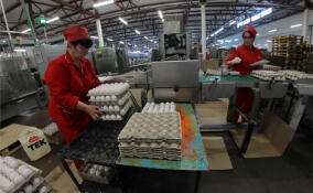 Около 30 тысяч работников не хватает в Ленобласти