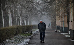 Перепады погоды ожидаются в Северной столице на выходных
