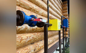 Жительница Лопухинки получит компенсацию за газовое оборудование после звонка губернатору