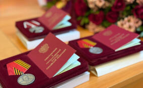 Пятеро жителей Всеволожского района посмертно награждены орденами Мужества и Жукова