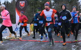 «Здравствуй, Новый год!»: Гатчина приглашает на праздничный забег