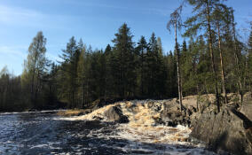 Квартира на выходные или дом у озера: раскрыты предпочтения туристов из СЗФО