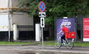 В Петербурге вступил в силу запрет на работу иностранцев-курьеров