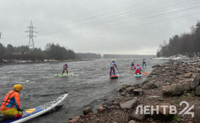В Лосево проходят соревнования по греботлону