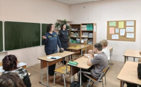 Сотрудники полиции рассказали сланцевским школьникам о кибербезопасности