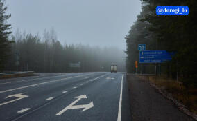 В Лебяжье завершили ремонт участка дороги Санкт-Петербург – Ручьи