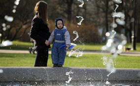 В Петербурге и Ленобласти единое пособие получают более 129 тысяч семей