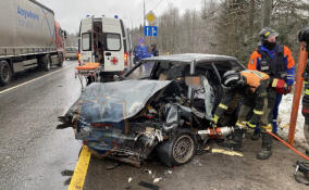Из-за столкновения в Ушаках двух авто водитель легковушки оказался зажат в салоне