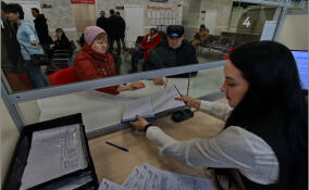 В Отрадном и Тихвине заработали терминалы «Видеоконсультант»