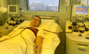 Судебный пристав из Ленобласти стал донором костного мозга и спас жизнь человеку