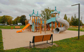 Гатчинцы направили больше всего предложений по благоустройству