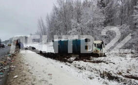 Мусоровоз опрокинулся в кювет на трассе А-180 под Кингисеппом