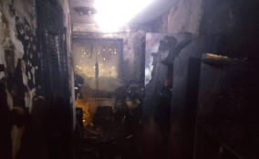 Из горящей пятиэтажки в Тосно спасли восемь человек