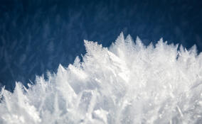 В ночь на среду в Ленобласти возможно до -13: прогноз погоды на 26 ноября