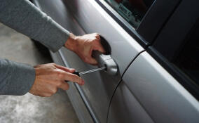 Двое подростков из Мурино предстанут перед судом за угон авто