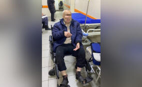 Пропавшего жителя Выборга обнаружили почти сутки спустя в резиновых тапках у Выборгского замка