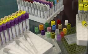 В Сертолово начали выпускать медицинские изделия