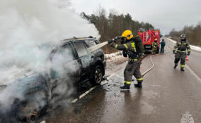 На дороге в деревне Нурма сгорел автомобиль