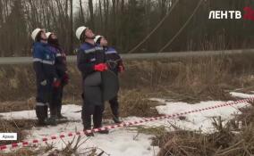 В Гатчинском округе и Ломоносовском районе энергетики завершили реконструкцию двух воздушных линий электропередачи
