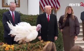 Дональд Трамп помиловал индеек в преддверии Дня благодарения