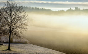 До -13 ночью и до -5 днем: прогноз погоды в Ленобласти на 27 ноября