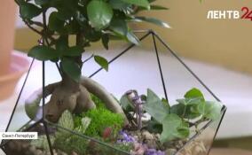 Цветущий сад в стеклянной колбе: Музей флорариумов в Петербурге