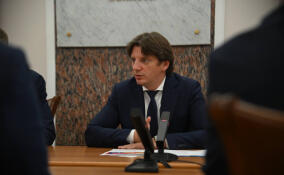 В Новоселье и Новом Девяткино подобрали участки для строительства колледжей