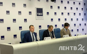 Почти 6,5 млн туристов посетили Ленобласть в 2025 году