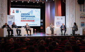 Анна Данилюк: «Необходимо создать систему равных гарантий для всех участников СВО»