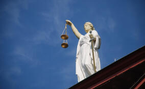 Жителя Приозерского района за смертельное избиение мужчины приговорили к шести годам строгого режима