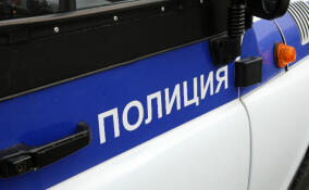 Под Кировском поймали рецидивиста, ограбившего дом на 415 тыс. рублей