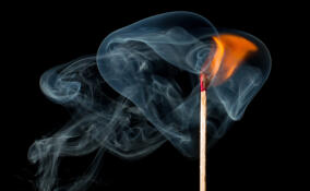 В садоводстве под Ломоносовом огонь уничтожил дачный дом