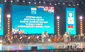 На празднике в Петербурге подвели итоги года в АПК Ленобласти