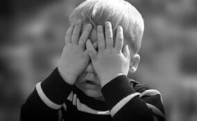 Трехлетний мальчик сбежал от бабушки в Металлострое