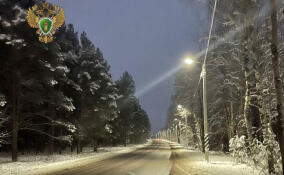 После прокурорской проверки на дороге в Сланцах стало светлее