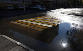 До +5, сильный ветер и дождь: прогноз погоды в Ленобласти на 29 ноября