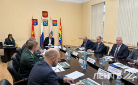 На совещании в Выборге обсудили программу «Чистые леса Ленинградской области»