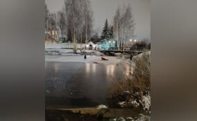Со льда водоема в парке Городов-героев спасли женщину