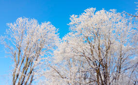 Дождь и мокрый снег ожидаются в Ленобласти 29 ноября