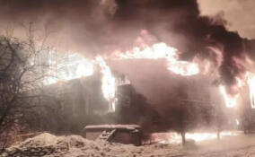 В СНТ «Культура» огонь уничтожил три квартиры и повредил кровлю