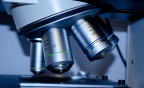 На развитие медицинских технологий в Петербурге выделят 14 млн рублей