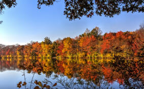 Синоптики рассказали о погоде в Ленобласти 30 ноября