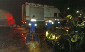 Спасатели эвакуировали из болота в Тосненском районе двух квадроциклистов