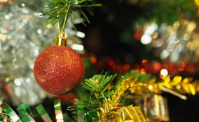 Жителей Отрадного пригласили зажечь огни на городской елке