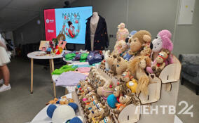 Гатчина стала центром притяжения для семей Ленобласти на первом «МамаФесте»