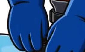 Ленобласть примет первые зимние международные игры Александра Невского