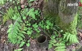 Как поисковики нашли фрагменты легендарного блокадного трубопровода